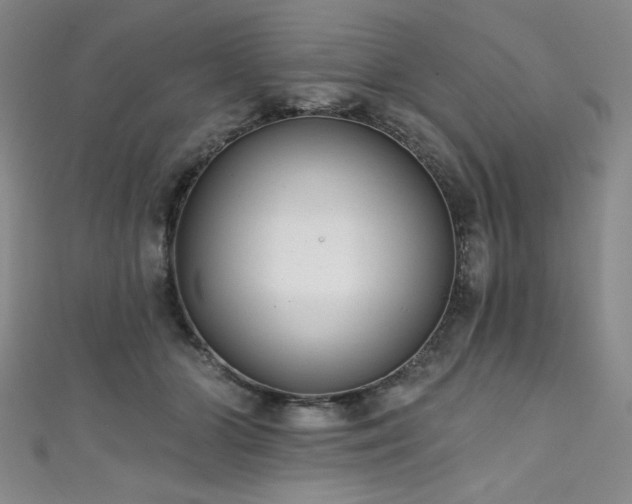X0000111830510200907231319