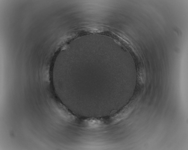 X0000111830512200907231319