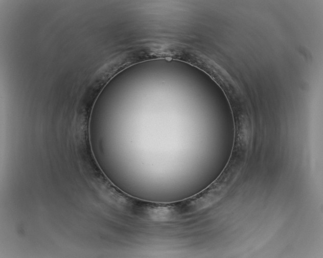 X0000111830513200907231319