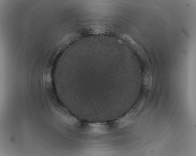 X0000111830516200907231319