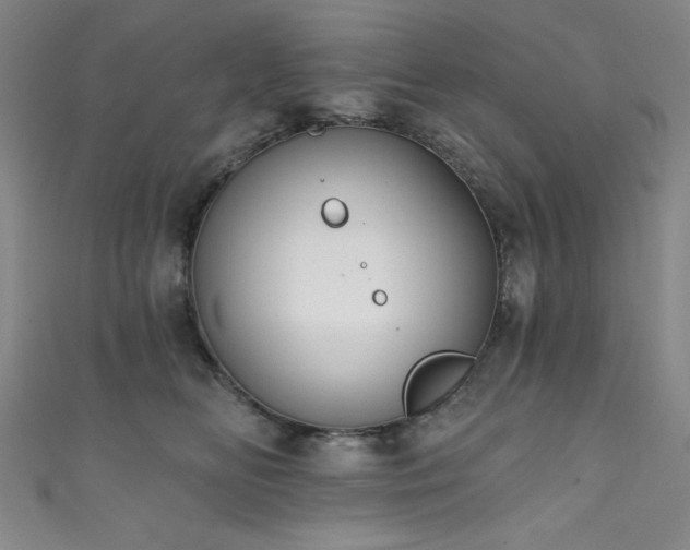 X0000111830518200907231319