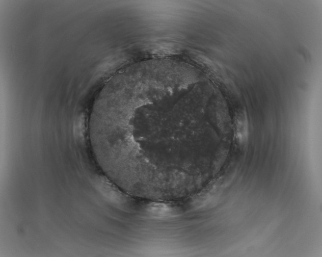X0000111830519200907231319
