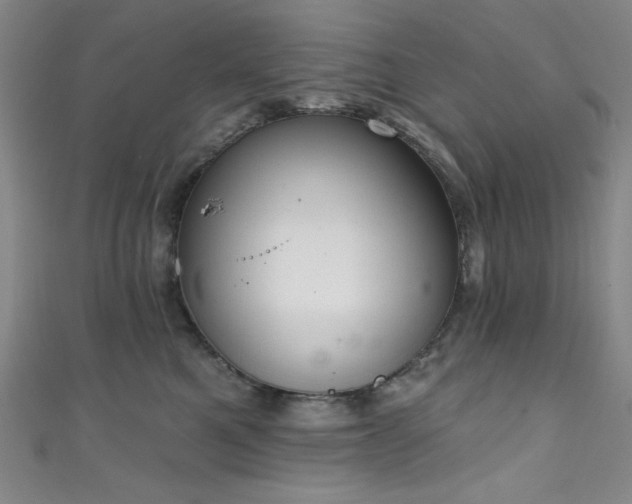 X0000111830521200907231319