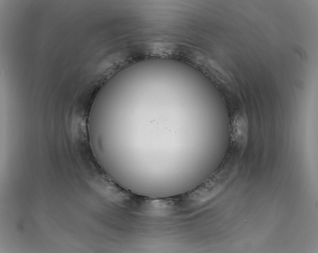 X0000111830522200907231319