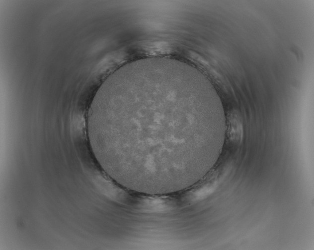 X0000111830523200907231319