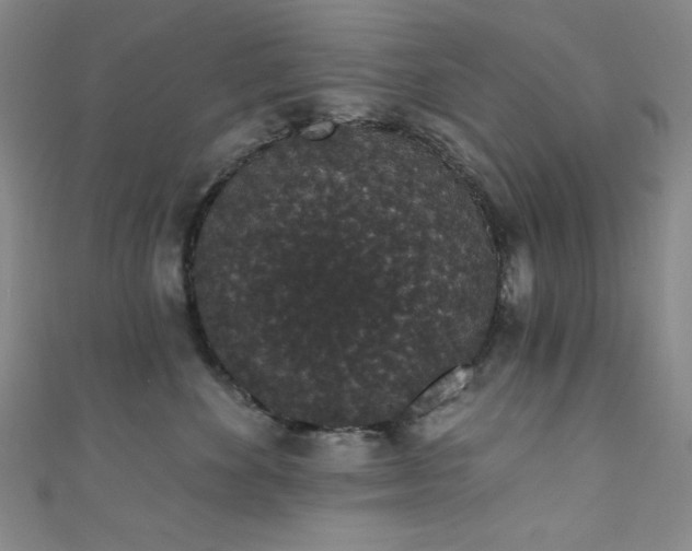 X0000111830524200907231319
