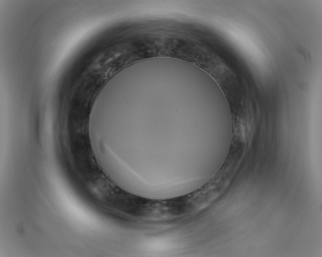 X0000111830526200907231319