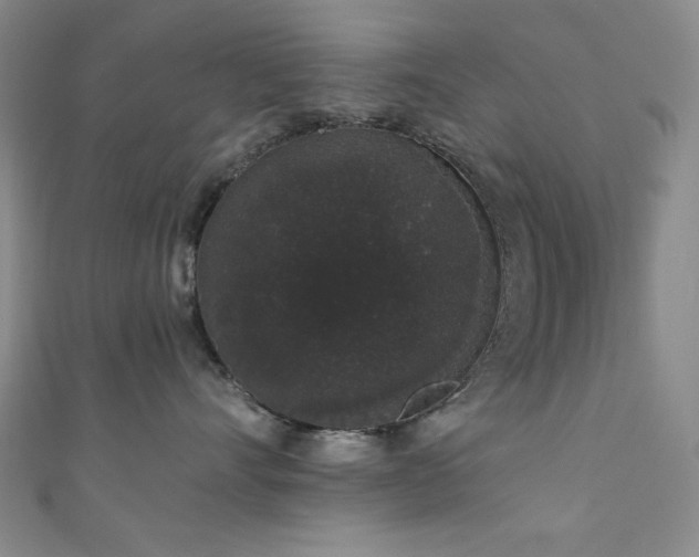 X0000111830528200907231319