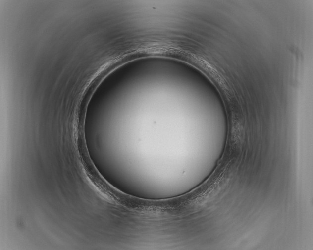 X0000111830530200907231319