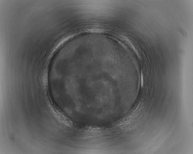 X0000111830531200907231319