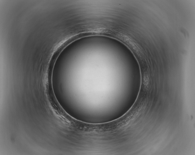 X0000111830532200907231319