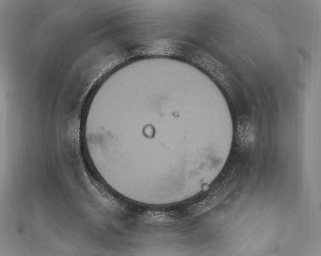 X0000111830534200907231319