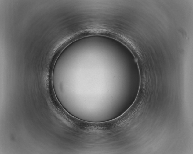 X0000111830535200907231319