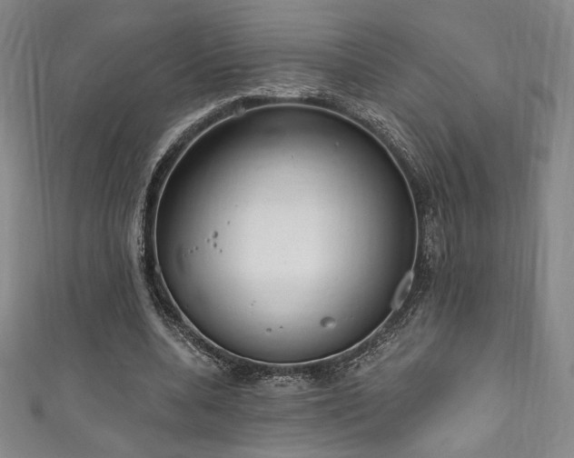 X0000111830536200907231319