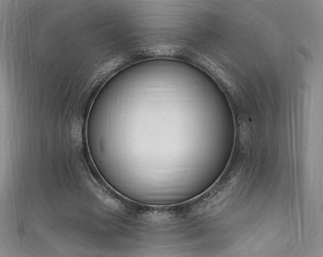 X0000111830537200907231319