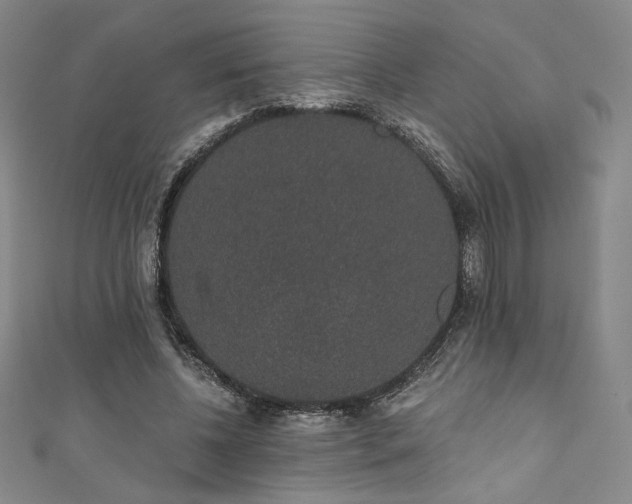 X0000111830540200907231319