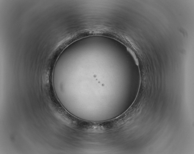X0000111830543200907231319