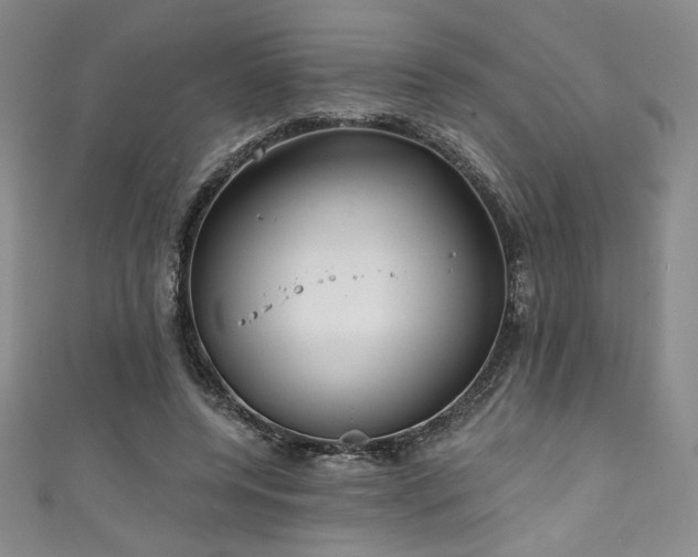 X0000111830544200907231319