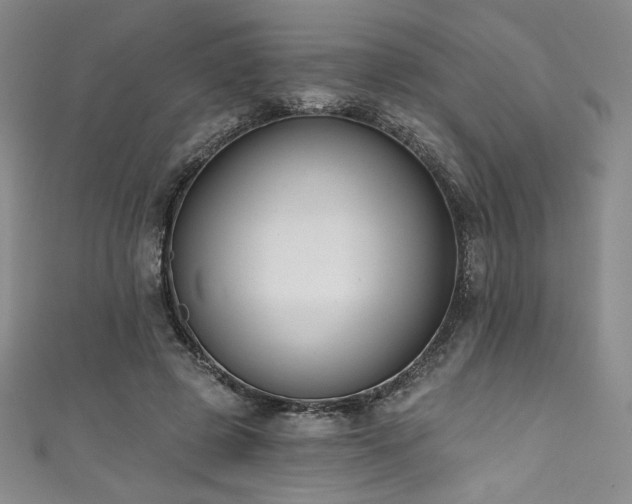X0000111830545200907231319