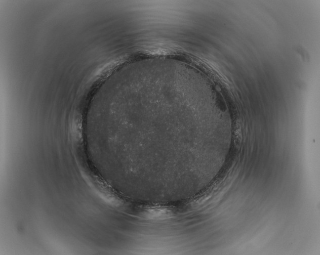 X0000111830547200907231319