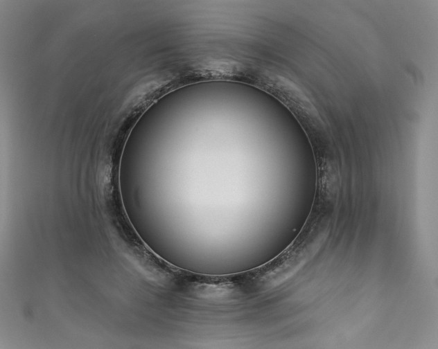X0000111830548200907231319