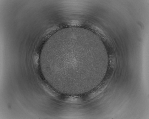 X0000111830550200907231319