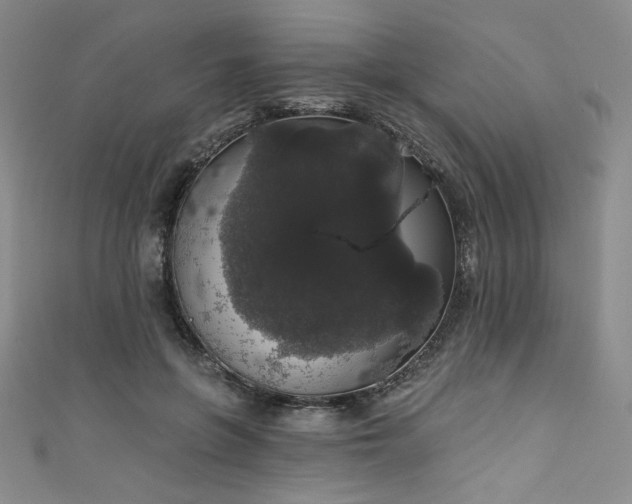 X0000111830551200907231319
