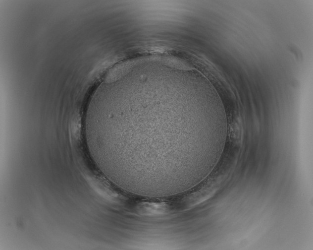 X0000111830552200907231319