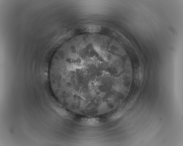 X0000111830553200907231319