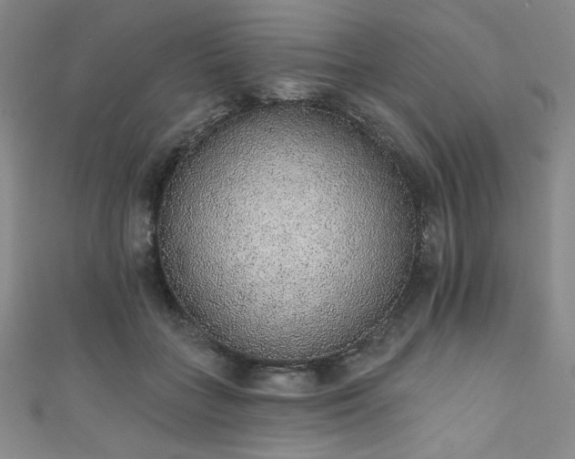 X0000111830555200907231319