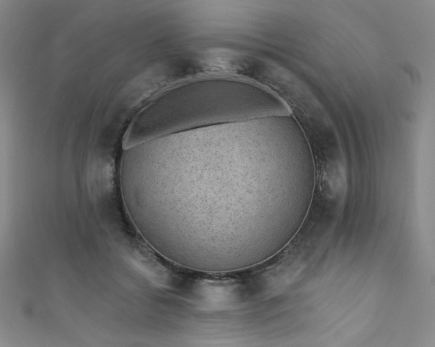 X0000111830556200907231319