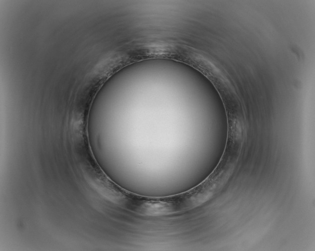 X0000111830557200907231319