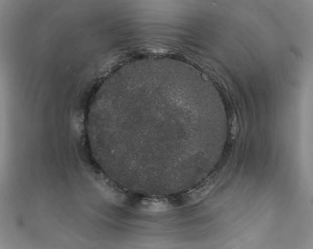 X0000111830559200907231319