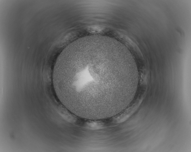 X0000111830561200907231319