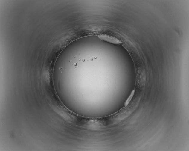 X0000111830562200907231319