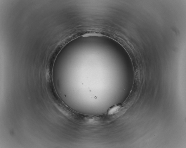 X0000111830564200907231319
