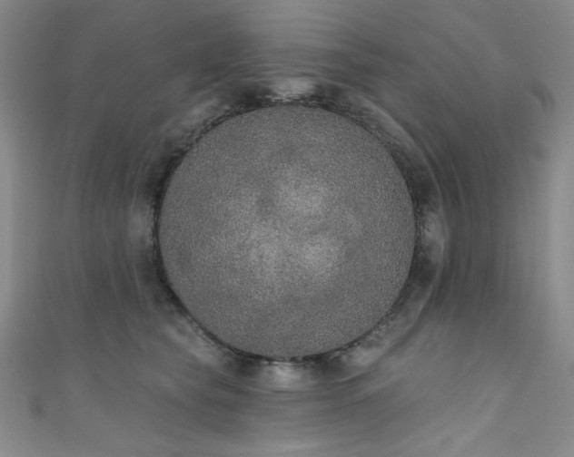 X0000111830565200907231319