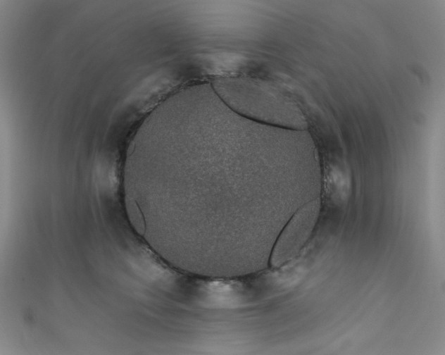 X0000111830566200907231319