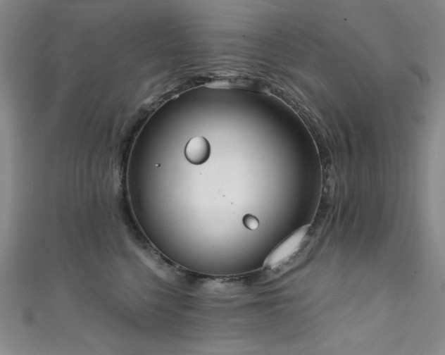 X0000111830568200907231319