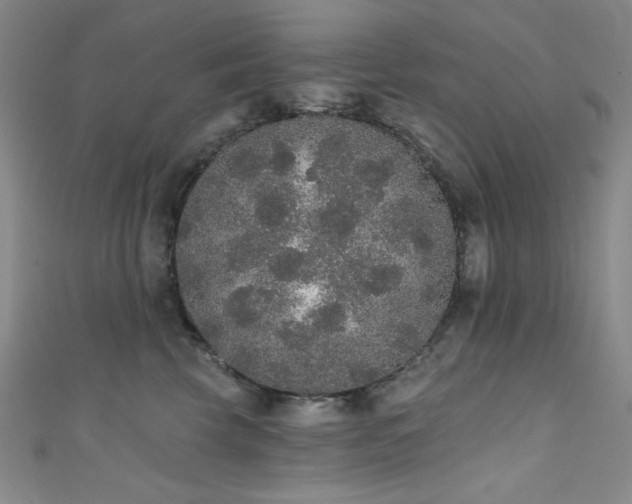 X0000111830569200907231319