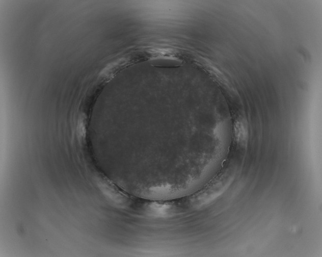 X0000111830570200907231319