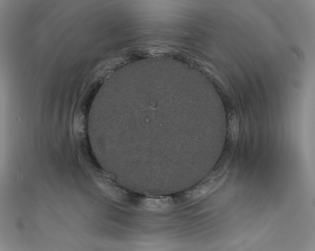 X0000111830571200907231319