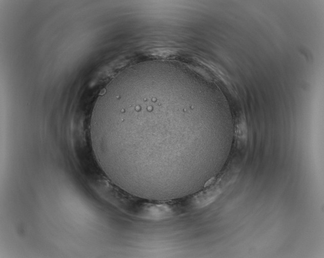 X0000111830572200907231319
