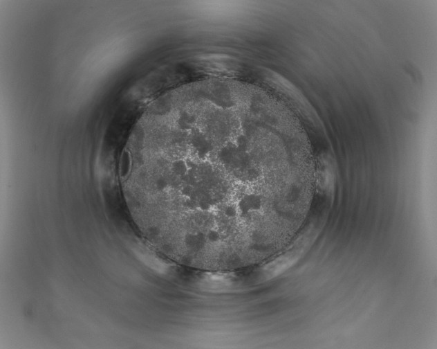 X0000111830573200907231319