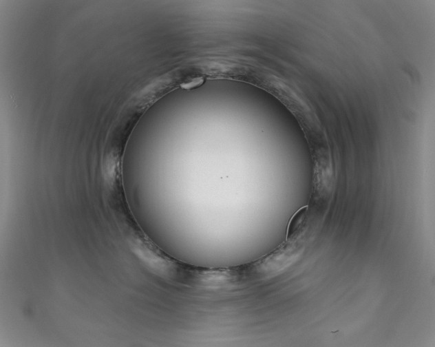 X0000111830574200907231319