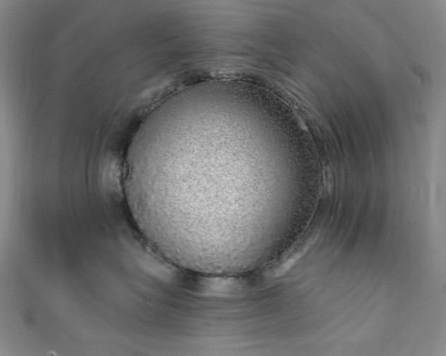 X0000111830575200907231319