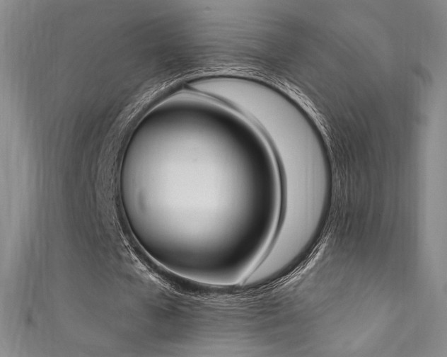 X0000111830577200907231318