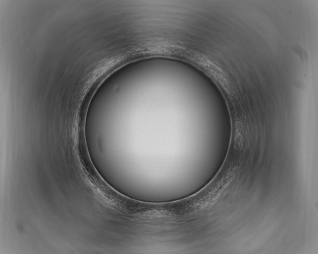X0000111830578200907231318