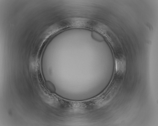 X0000111830579200907231318