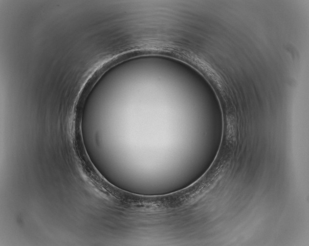 X0000111830580200907231318